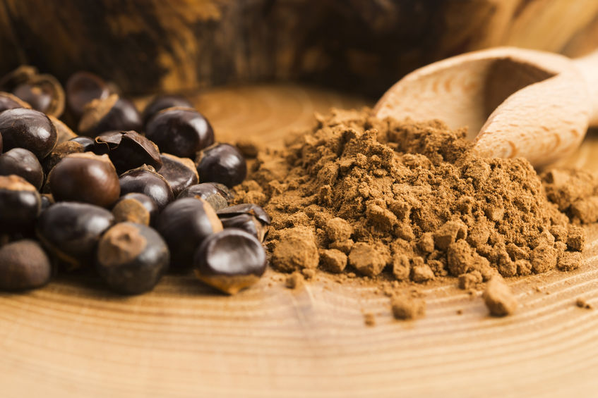 Guarana přírodní životabudič